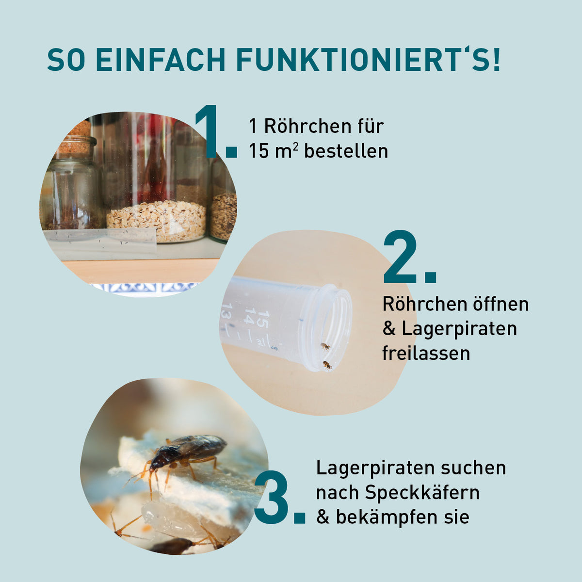Lagerpiraten gegen Speckkäfer kaufen
