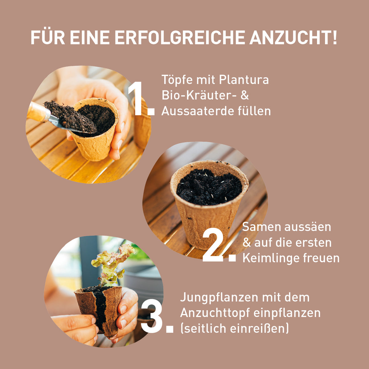 puppenhaus blumenkasten Blumenkasten Miniatur für Wichteltür und Puppenhaus – Basteln & Dekorieren main image 1