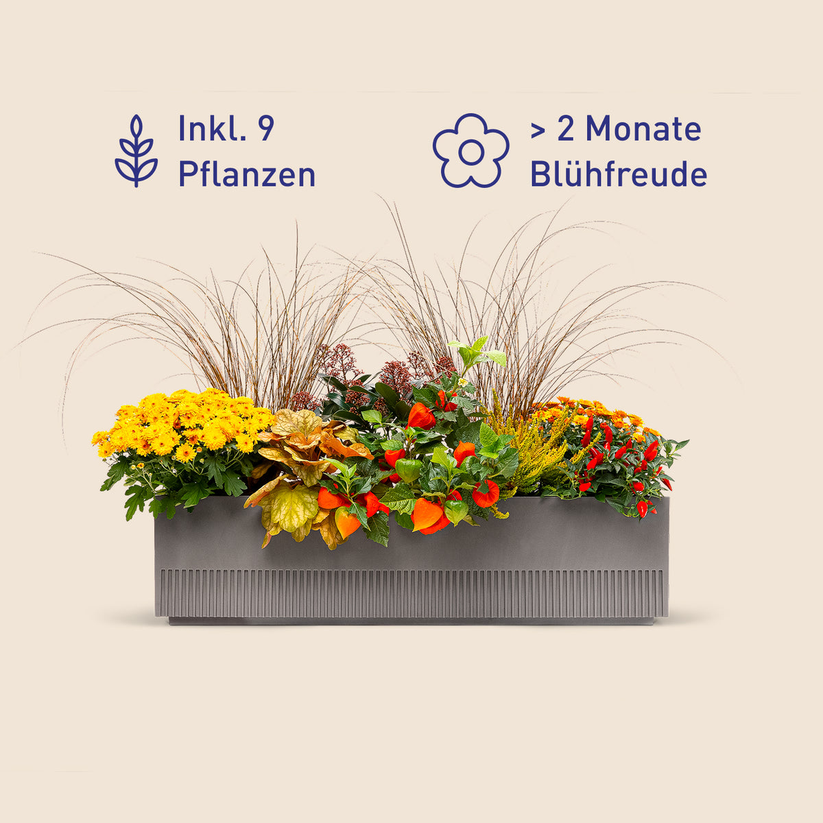 Balkonbox Golden Fall kaufen
