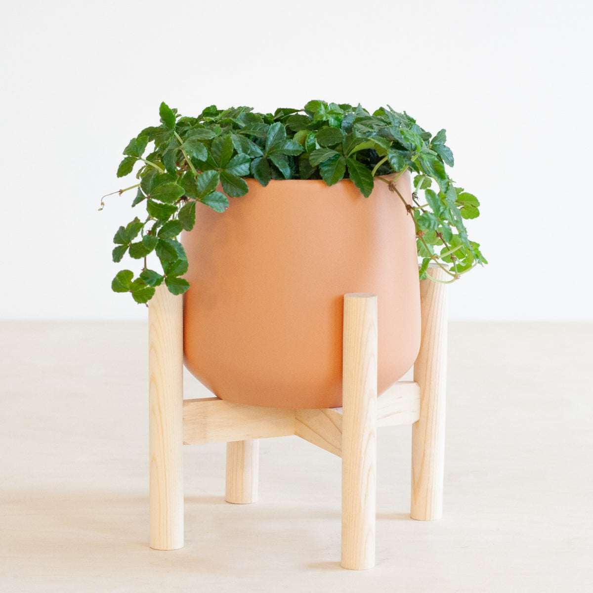 Holz Pflanzenständer kaufen