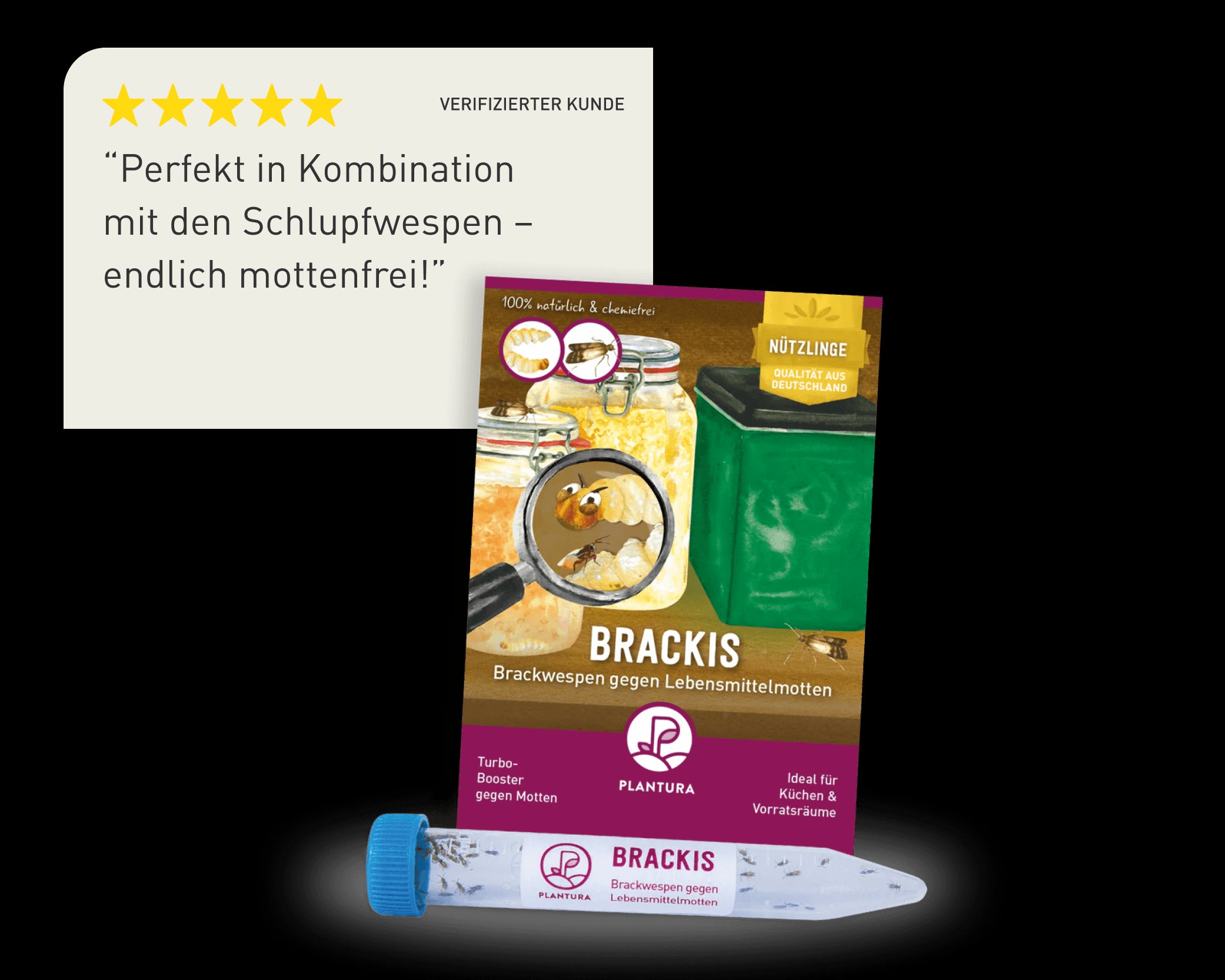 Brackwespen als Booster zur Lebensmittelmotten-Bekämpfung