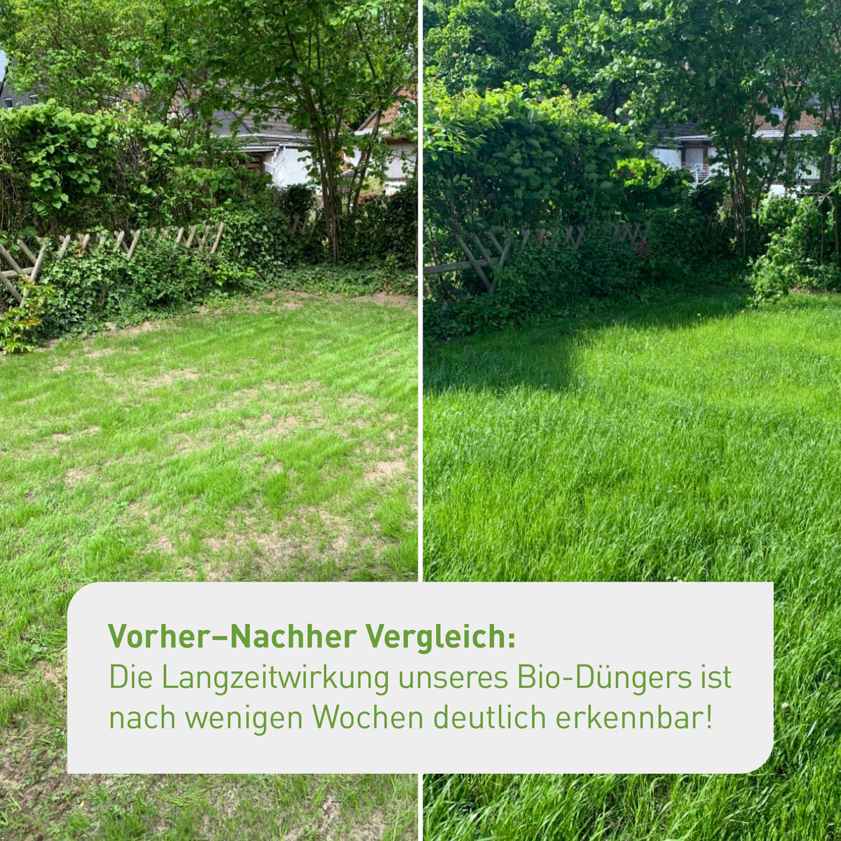rasen düngen langzeitdünger Bio-Rasendünger kaufen