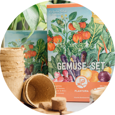 Plantura Gemüse-Anzuchtset