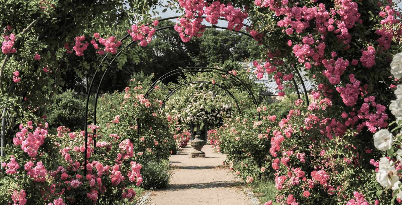section featured image