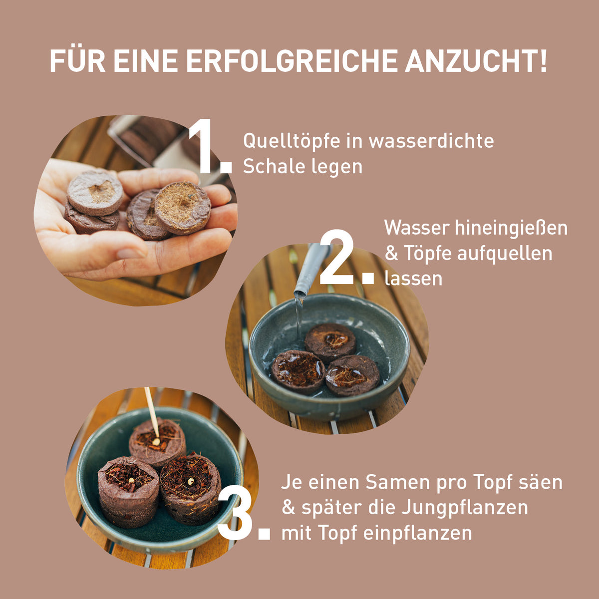 Quelltöpfe aus Kokosfaser 85 Stück kaufen