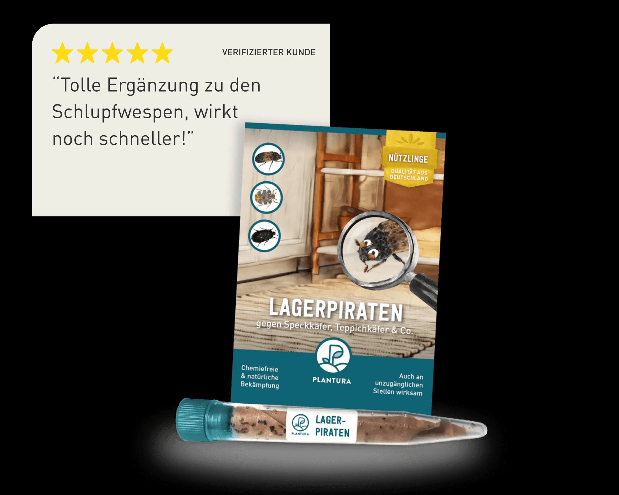 Lagerpiraten als Geheimtipp gegen Kleidermotten