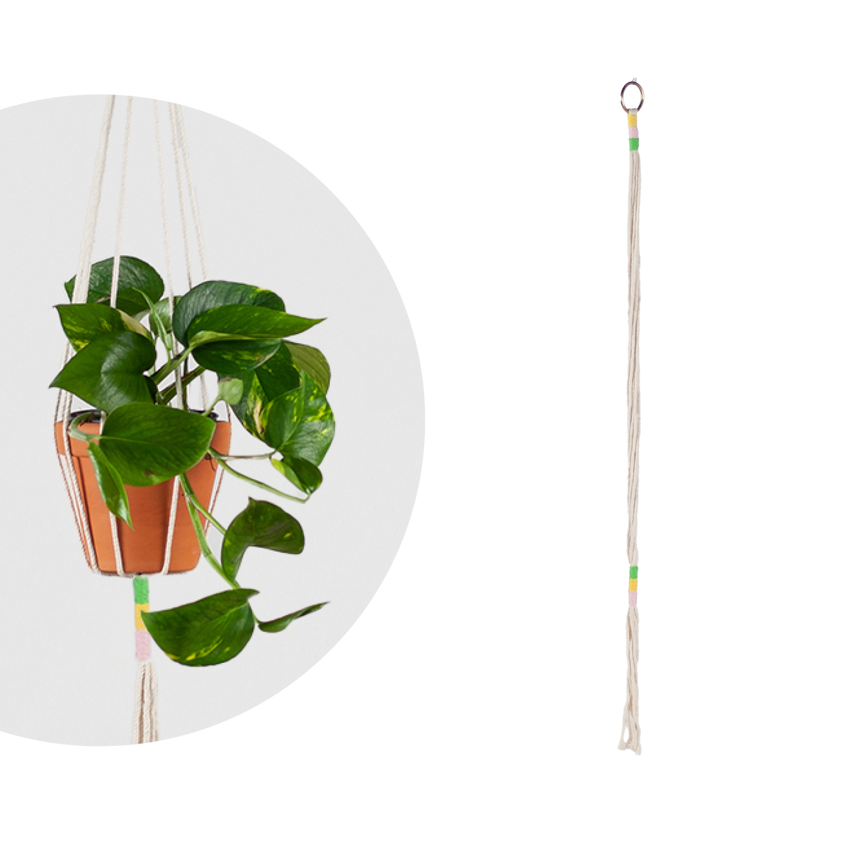 Makramee Blumenampel kaufen