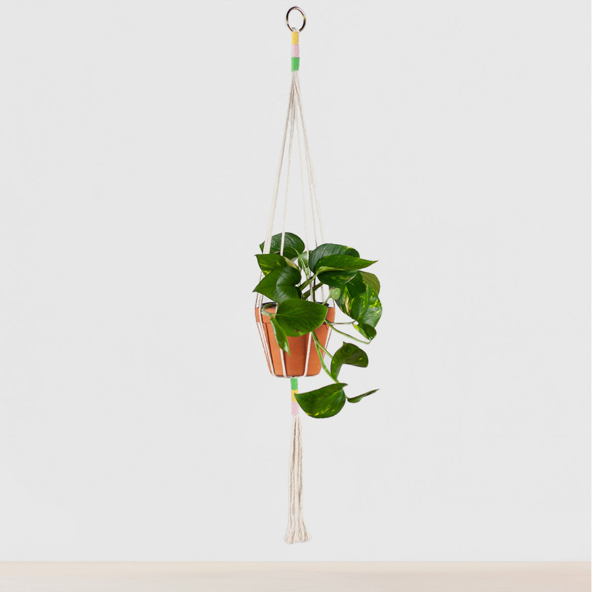 Makramee Blumenampel kaufen