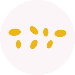 Illustration Motteneier