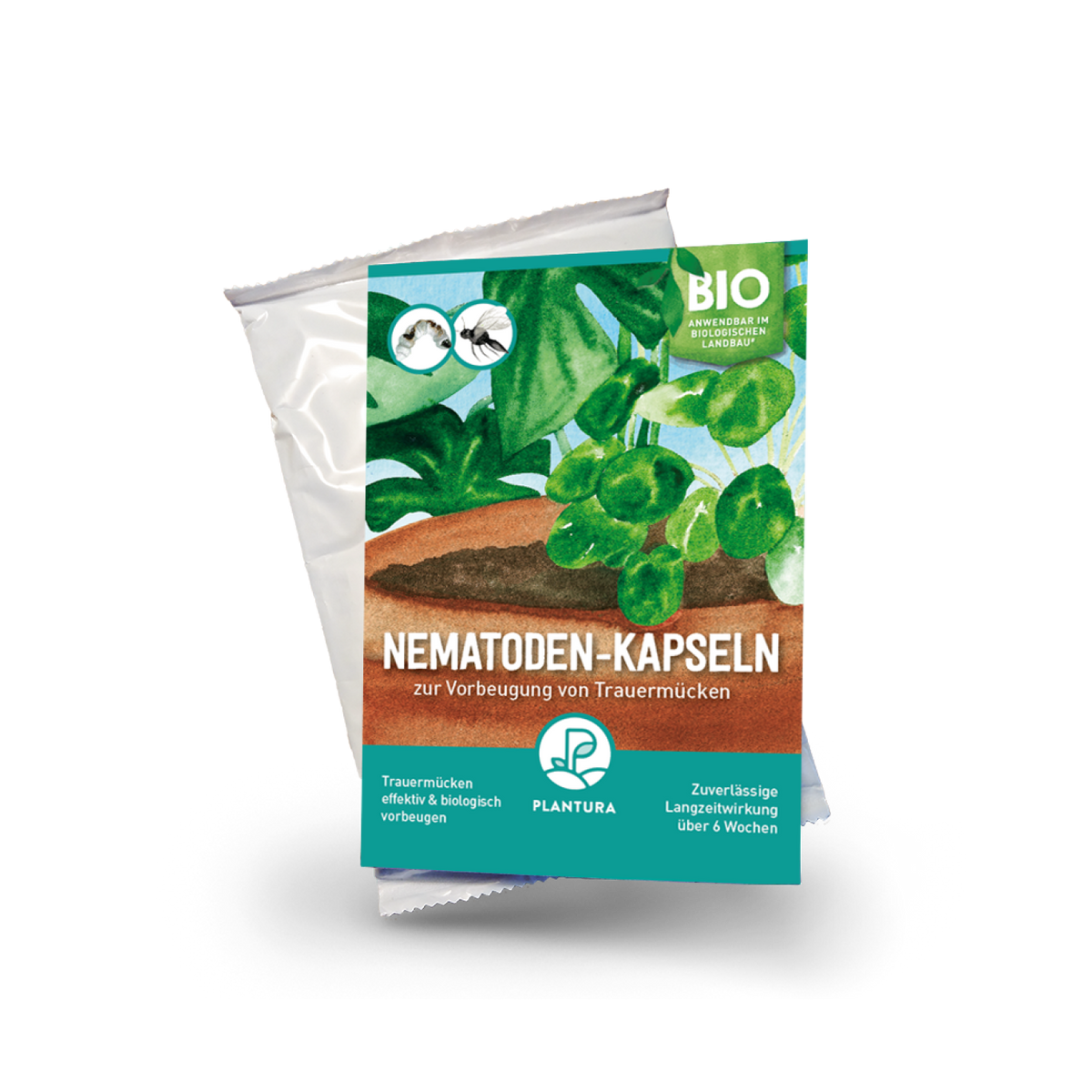 Nematoden-Kapseln: Trauermücken vorbeugen