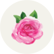 Rosen