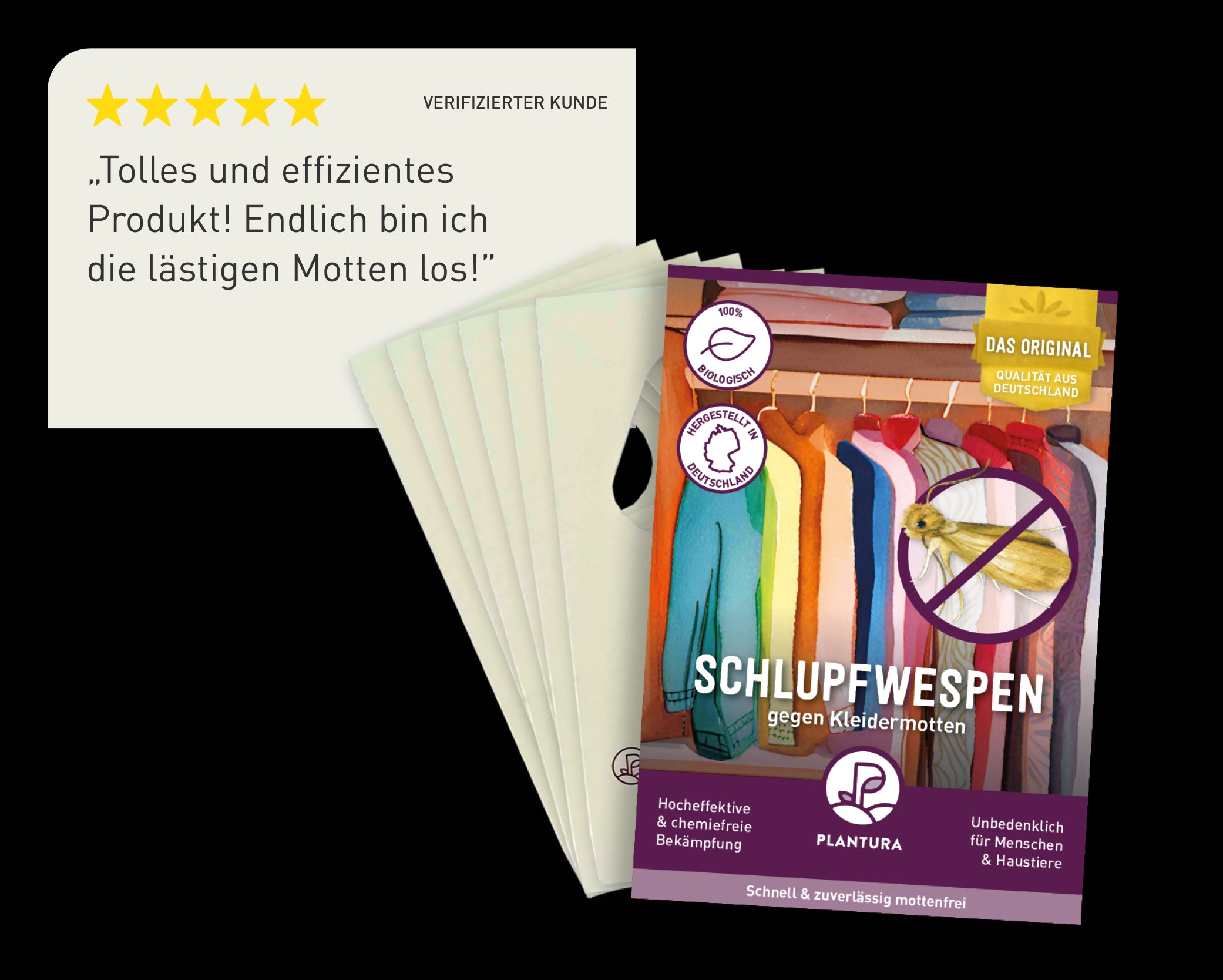 Schlupfwespen gegen Kleidermotten