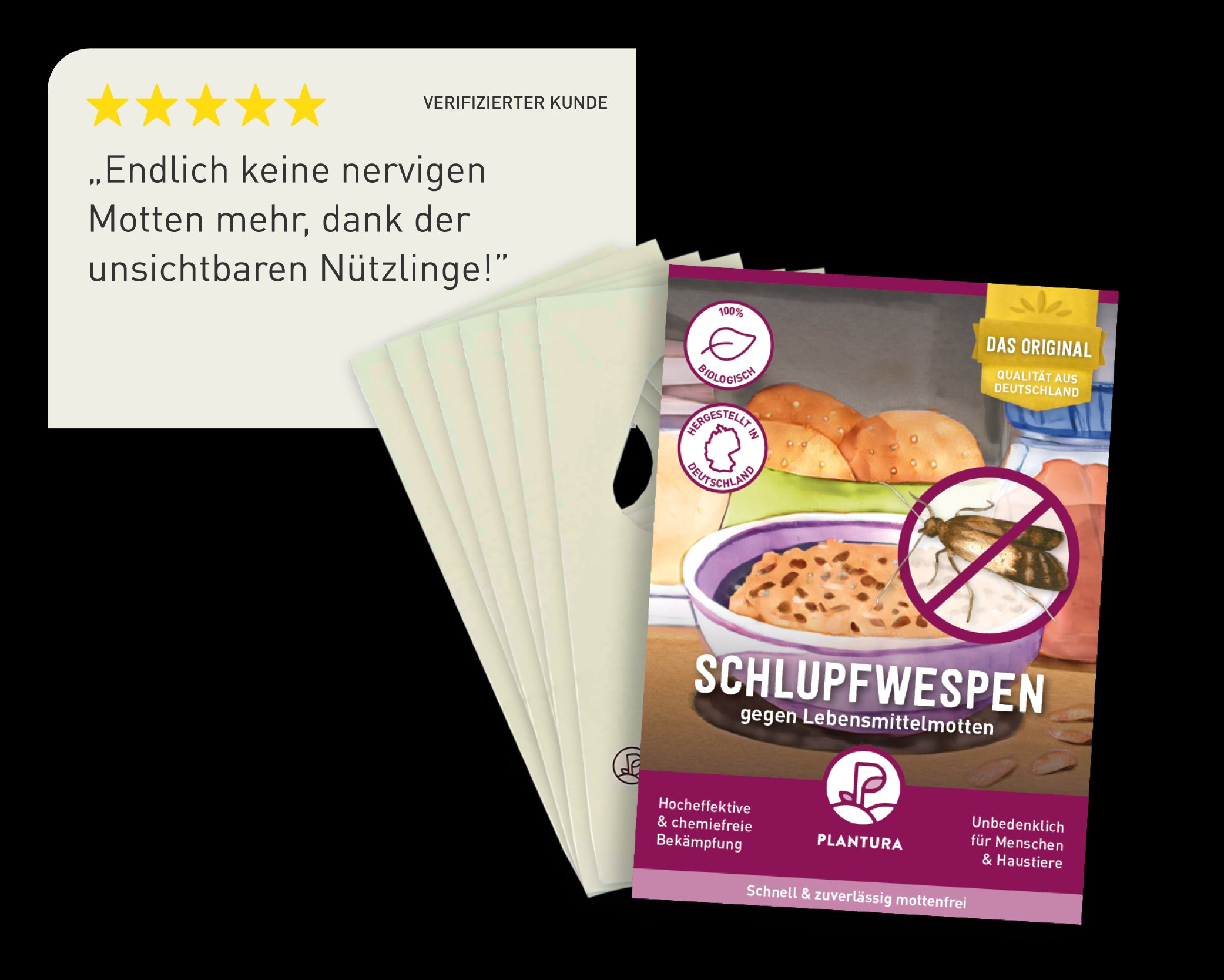 Karten von Schlupfwespen gegen Lebensmittelmotten