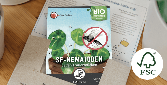 Umweltfreundlich verpackt