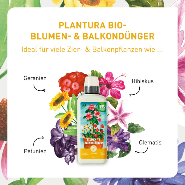 Vorteile Plantura Blumen- & Balkondünger