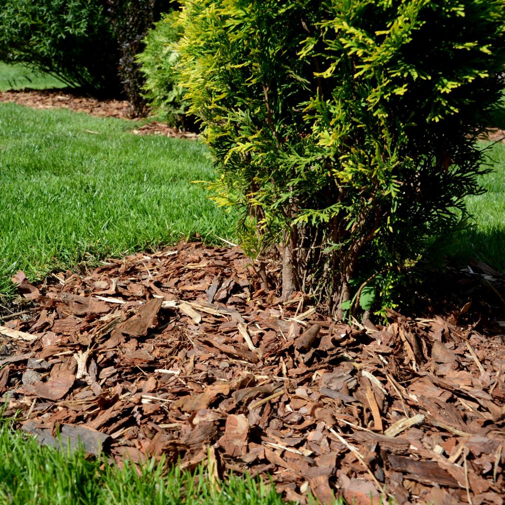 Sand, Kalk & Mulch kaufen Plantura Shop