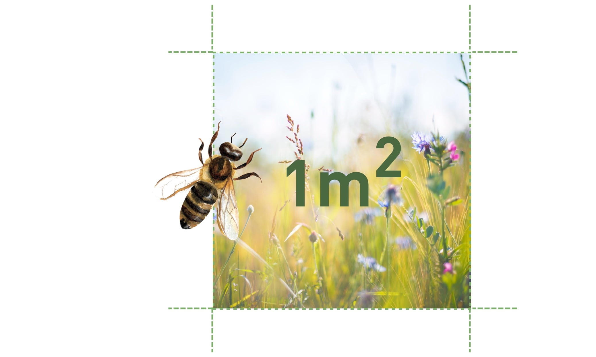 Jede Bestellung schafft Lebensraum für Bienen