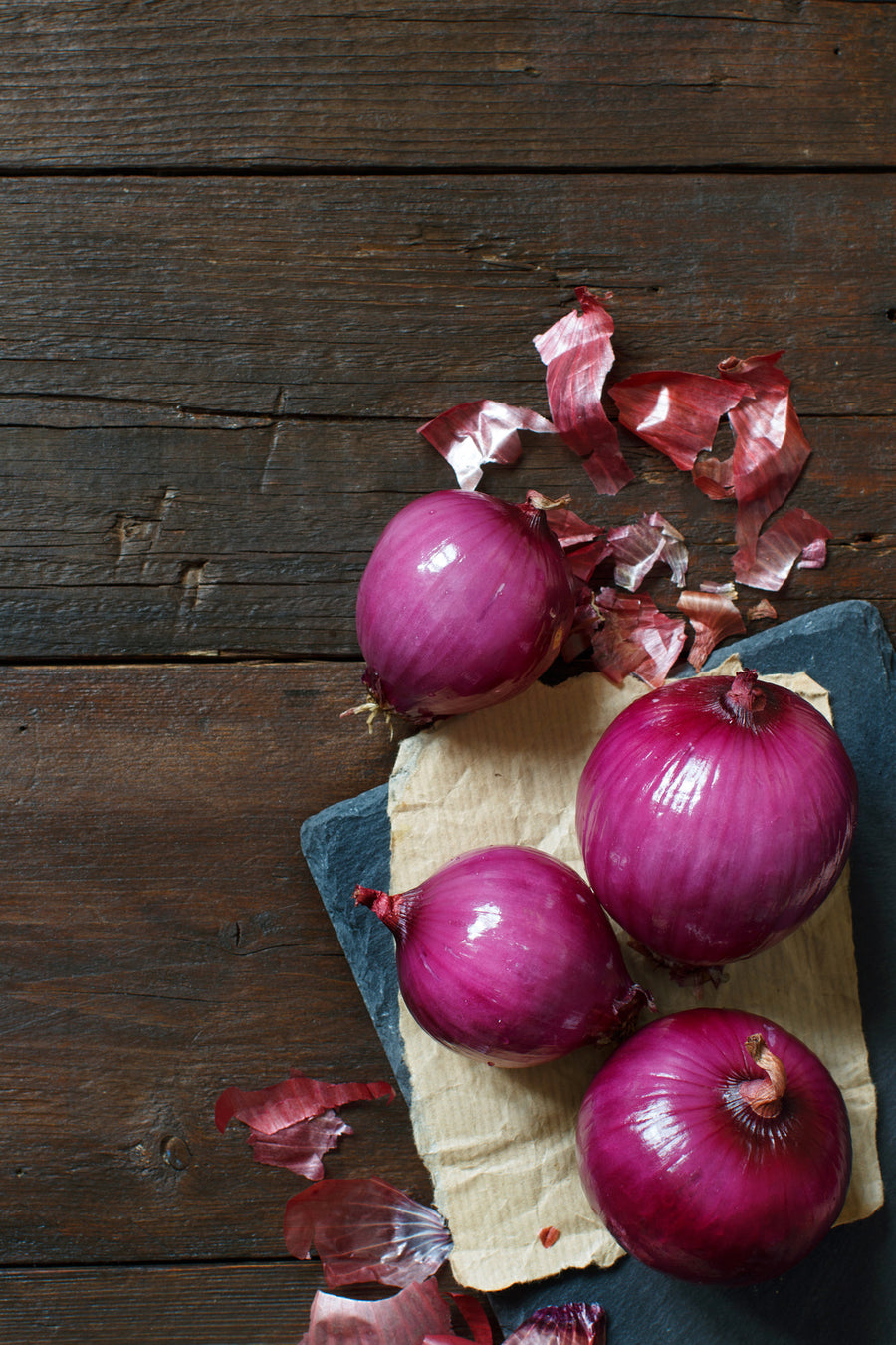 Allium cepa 'Rote Laaer'