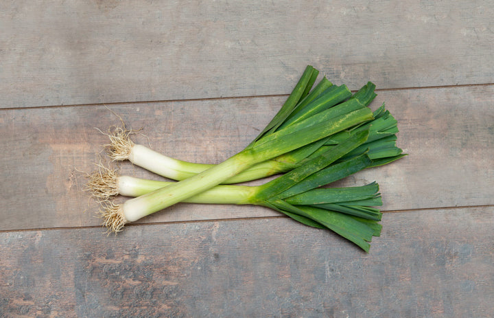 Allium porrum L. 'St. Victor'