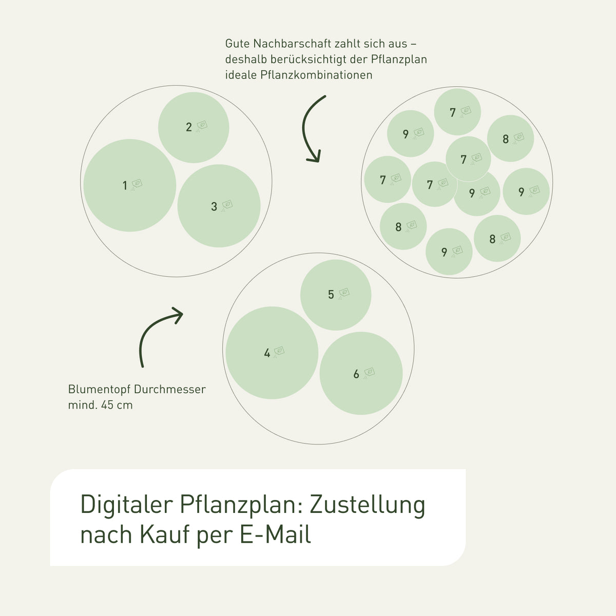 Anfänger-Saatgut mit digitalem Pflanzplan