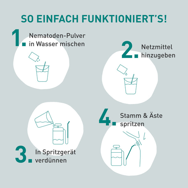 Anleitung SF-Nematoden gegen Apfelwickler und Pflaumenwickler