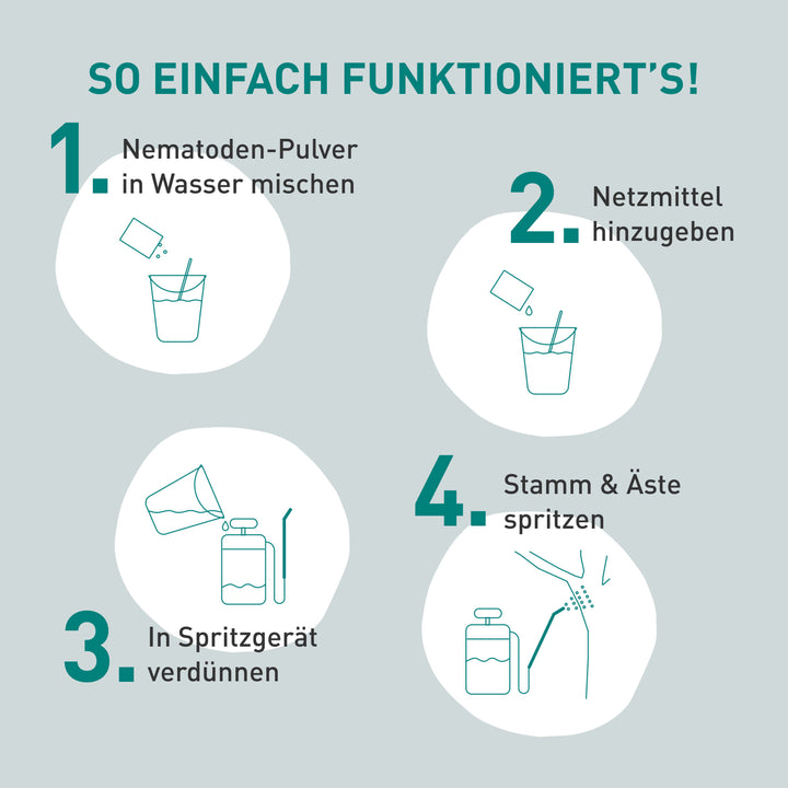 Anleitung SF-Nematoden gegen Apfelwickler und Pflaumenwickler