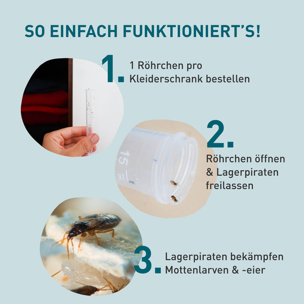 Anwendug von Lagerpiraten gegen Kleidermotten