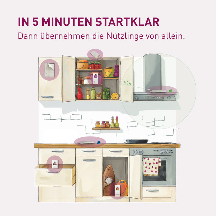 Anwendung des Mottenfrei Sofort-Systems gegen Lebensmittelmotten