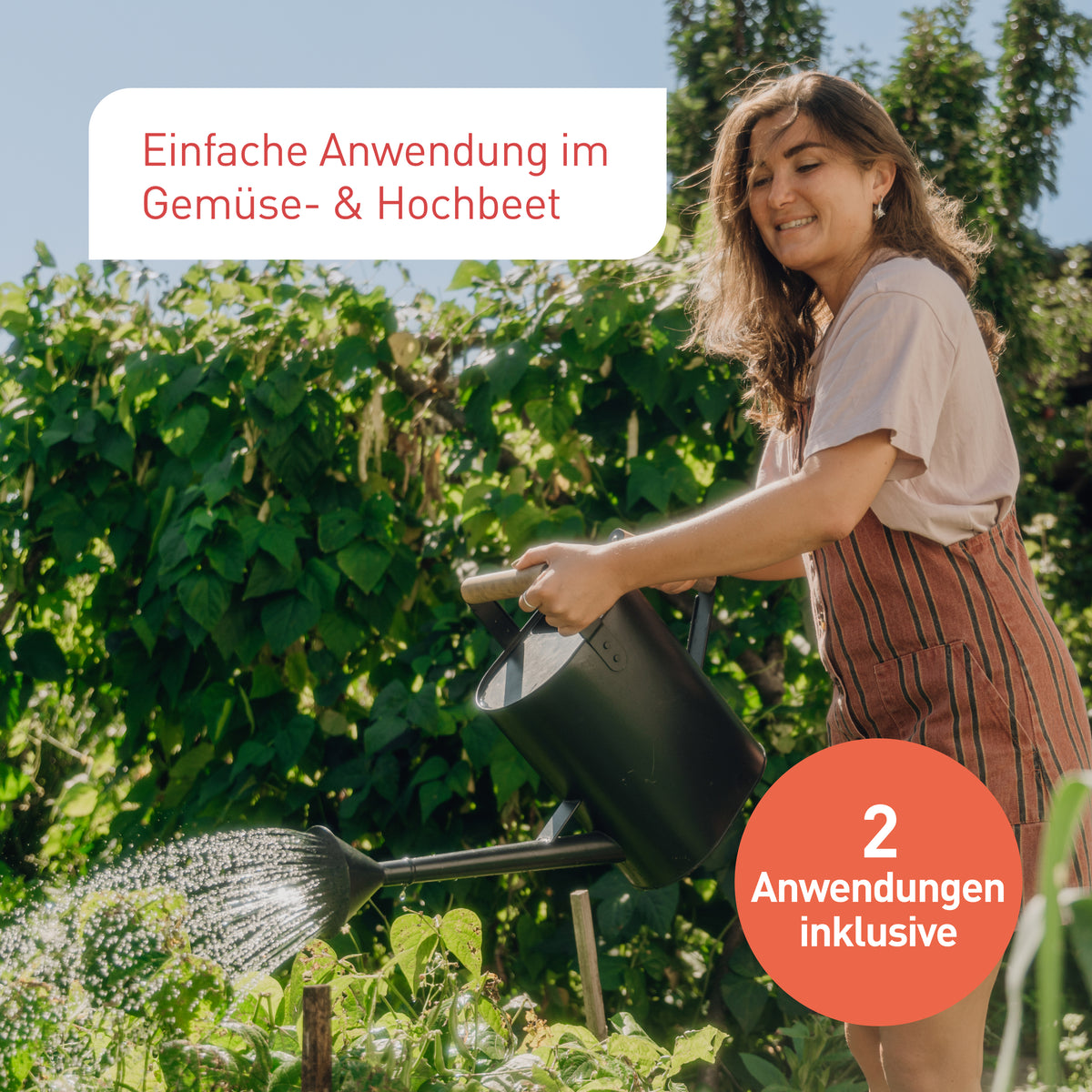 Anwendung von Nematoden-Mix im Gemüsebeet
