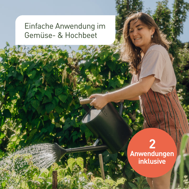 Anwendung von Nematoden-Mix im Gemüsebeet