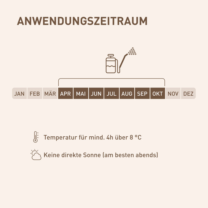 Anwendungszeit der SC-Nematoden gegen Buchsbaumzünsler