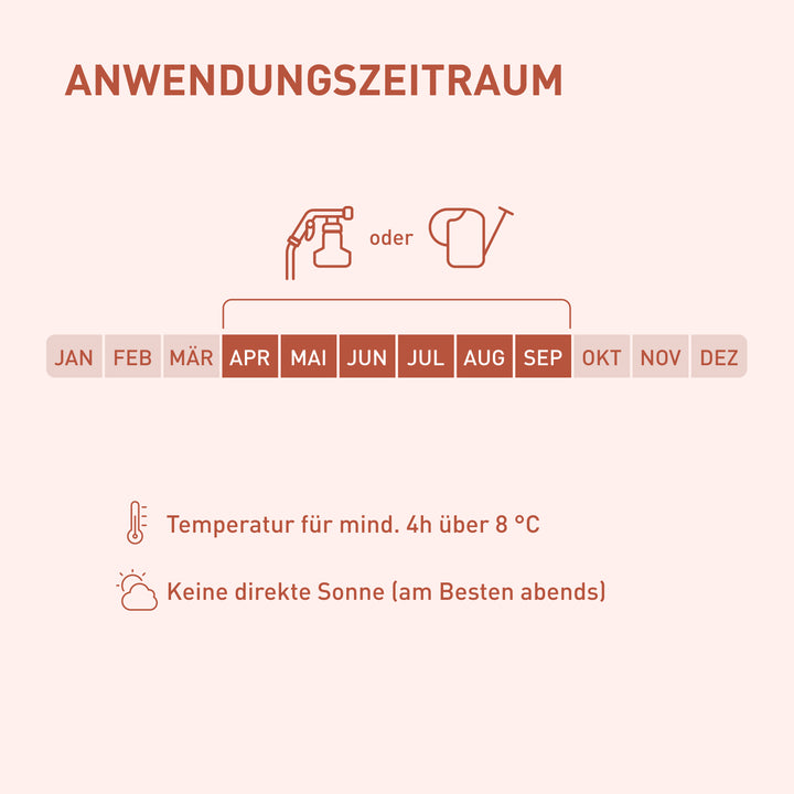 Anwendungszeit Nematoden-Mix fürs Gemüsebeet