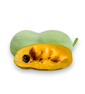 Aufgeschnittene Pawpaw Frucht