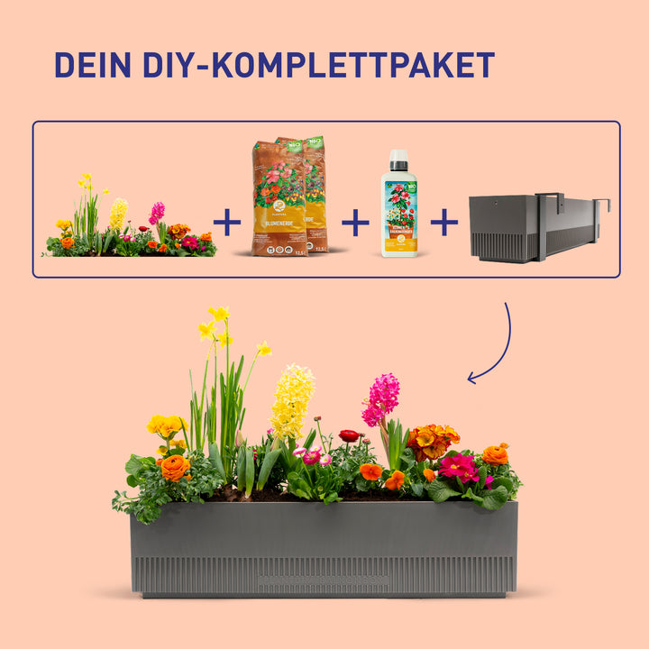 Balkonblumen-Set Floral Rainbow