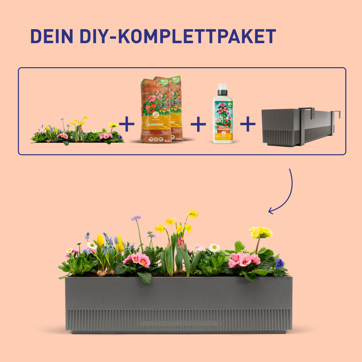 Balkonblumen-Set Pastel Dreams