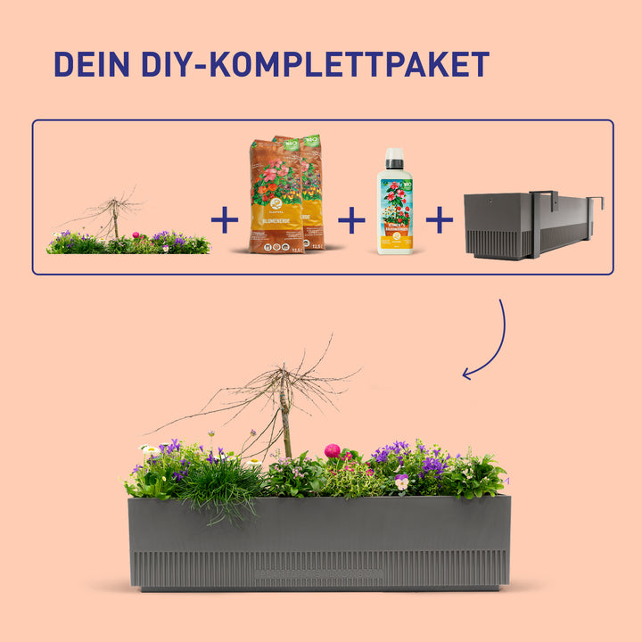 Balkonblumen-Set Pet Paradise