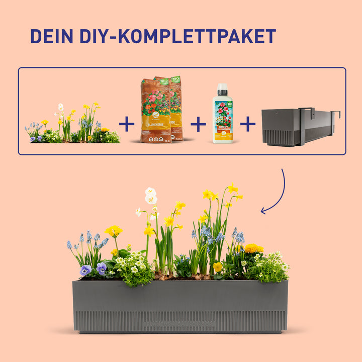 Balkonblumen-Set Spring Breeze