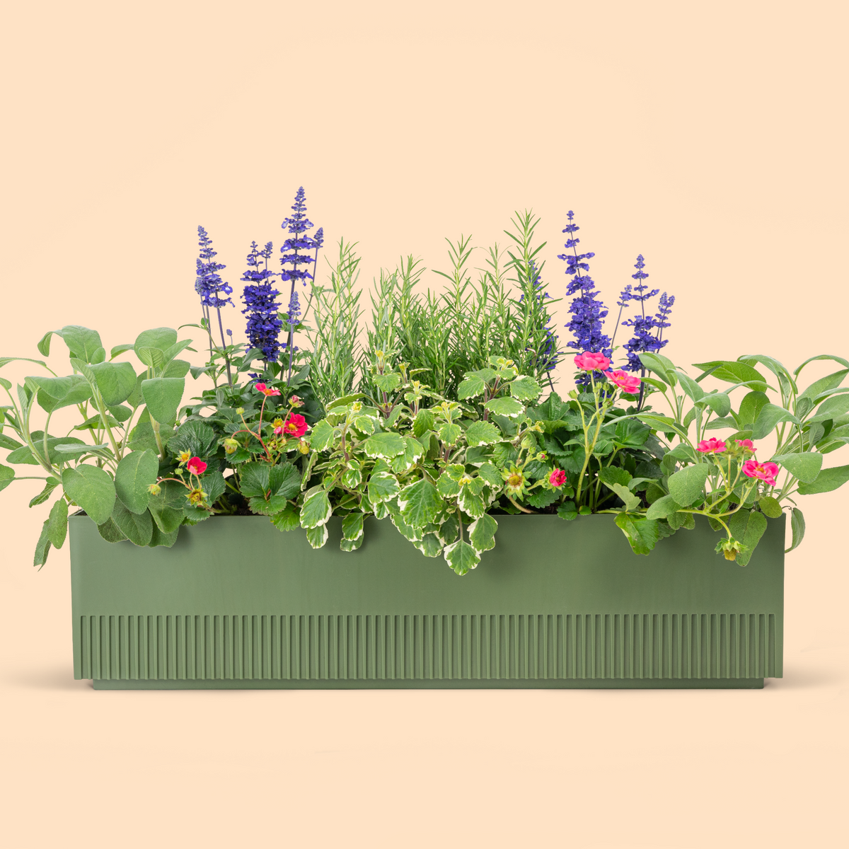 Balkonbox Animal Lover