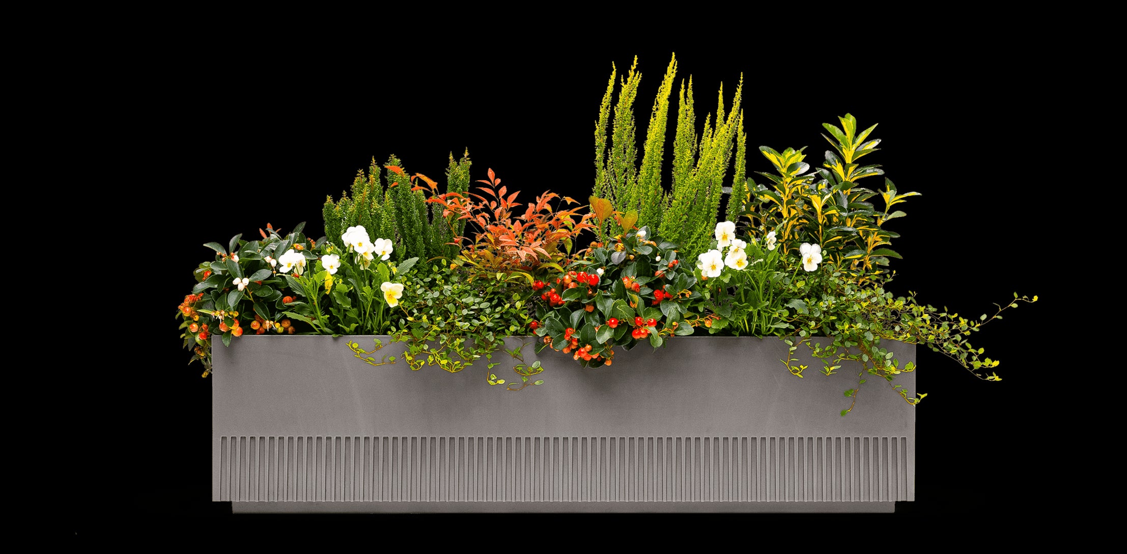Balkonbox Evergreen Elegance