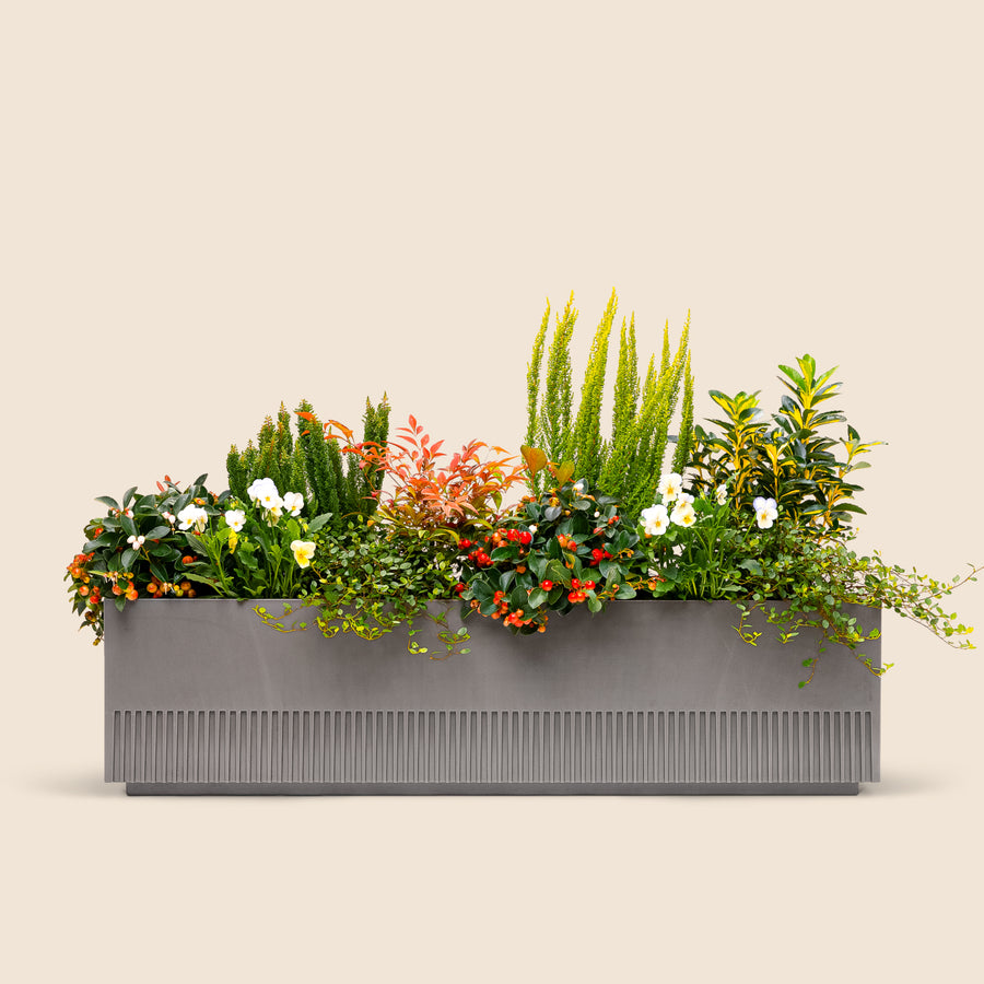 Balkonbox Evergreen Elegance
