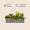 Balkonbox Evergreen Elegance