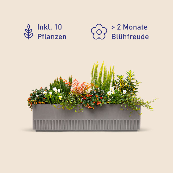 Balkonbox Evergreen Elegance