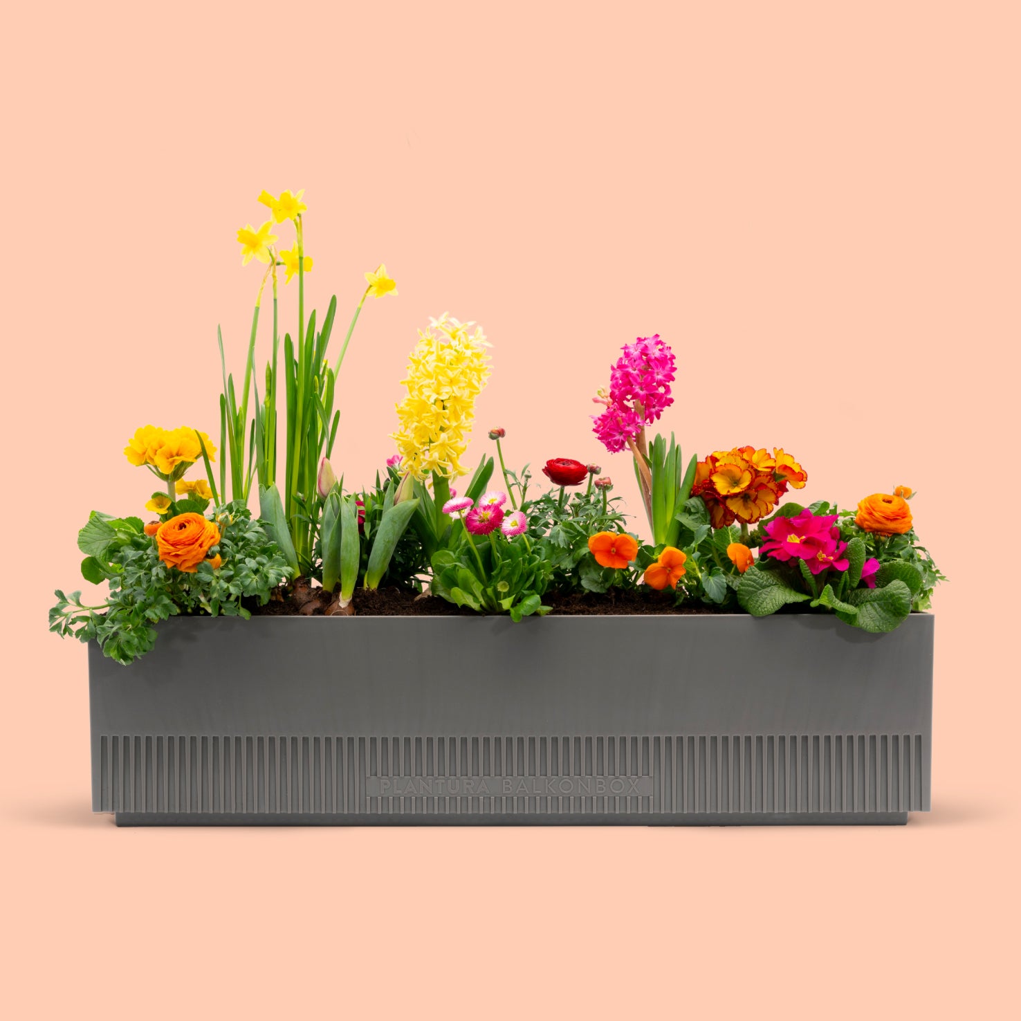 Balkonbox Floral Rainbow kaufen