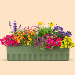 Balkonbox Flower Power