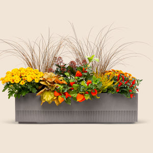 Balkonbox Golden Fall