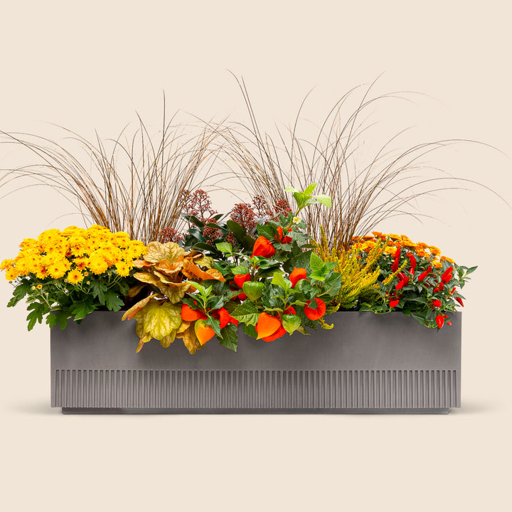 Balkonbox Golden Fall