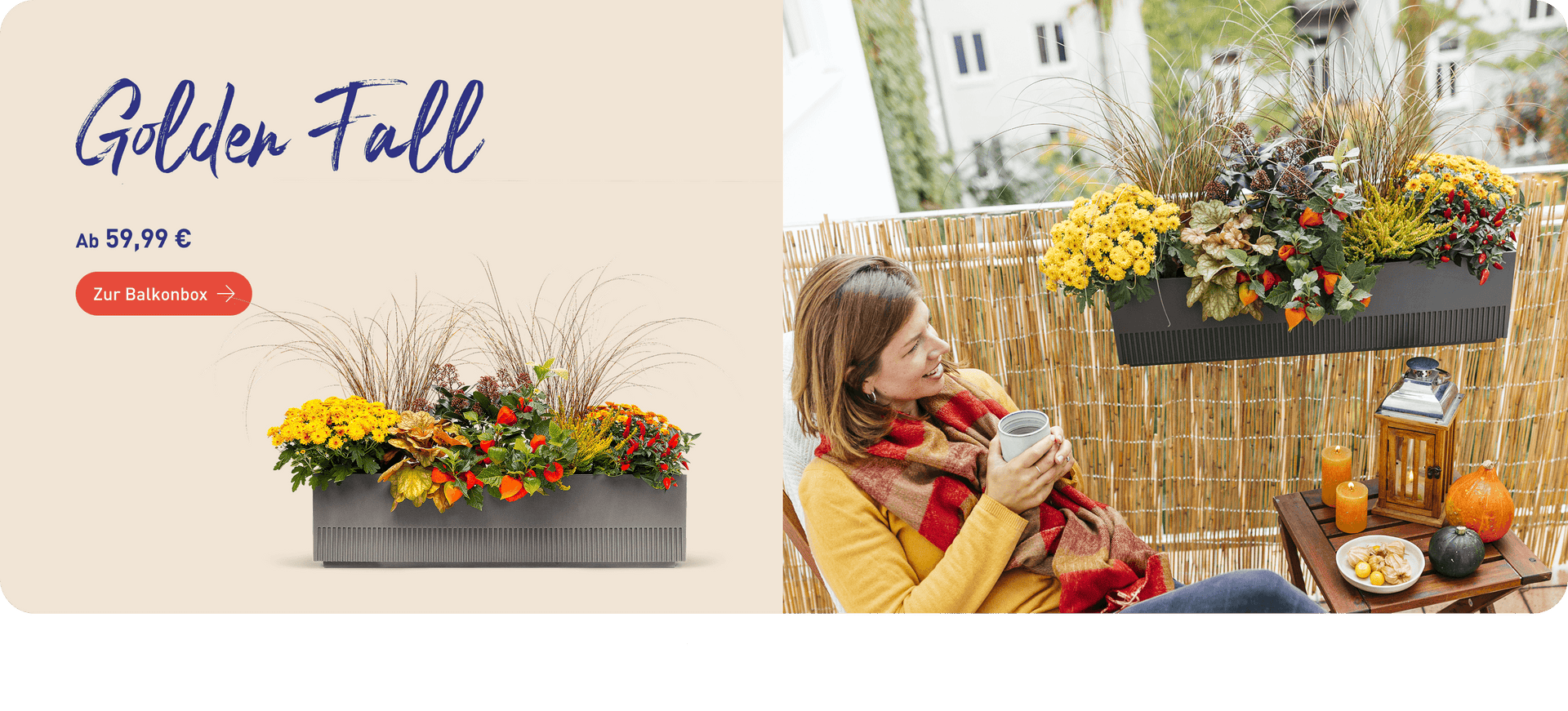 Plantura Balkonbox Golden Fall