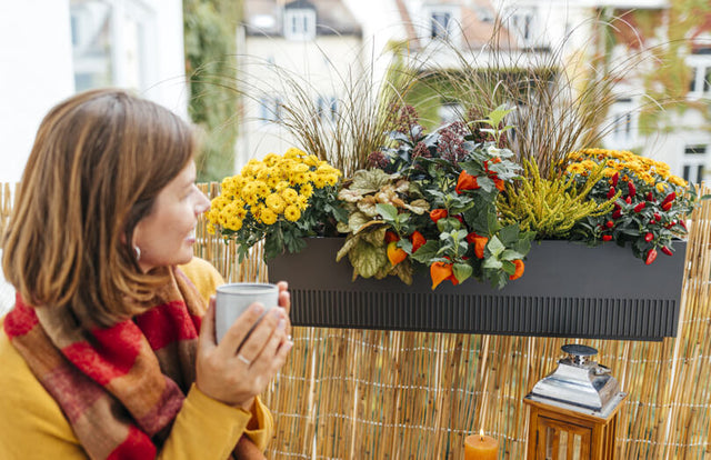 Balkonbox Herbst-Kollektion