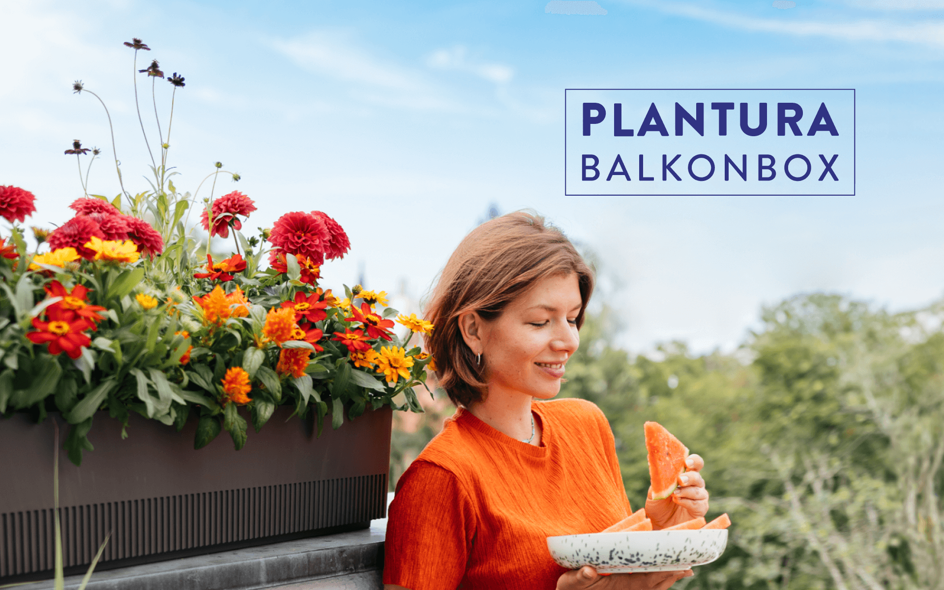 Plantura Balkonbox Hochsommer Kollektion