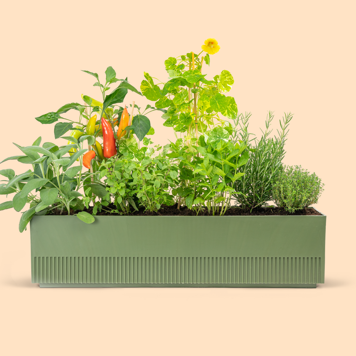 Balkonbox Homegrown